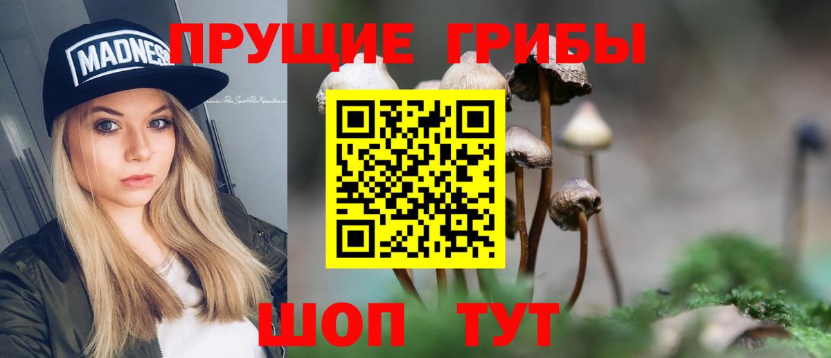 Клинцы  Псилоцибиновые грибы Psilocybe  Вход с VPN 